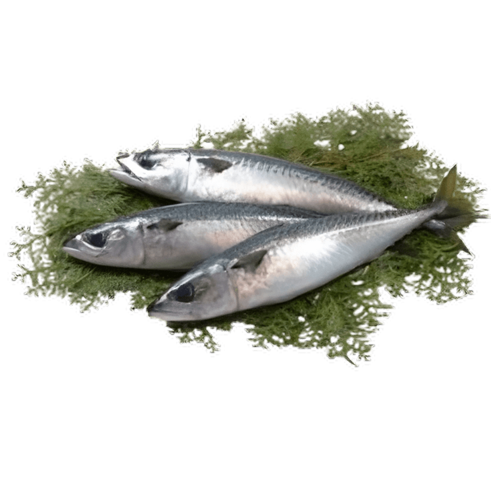 buy smoked fish online in the uk